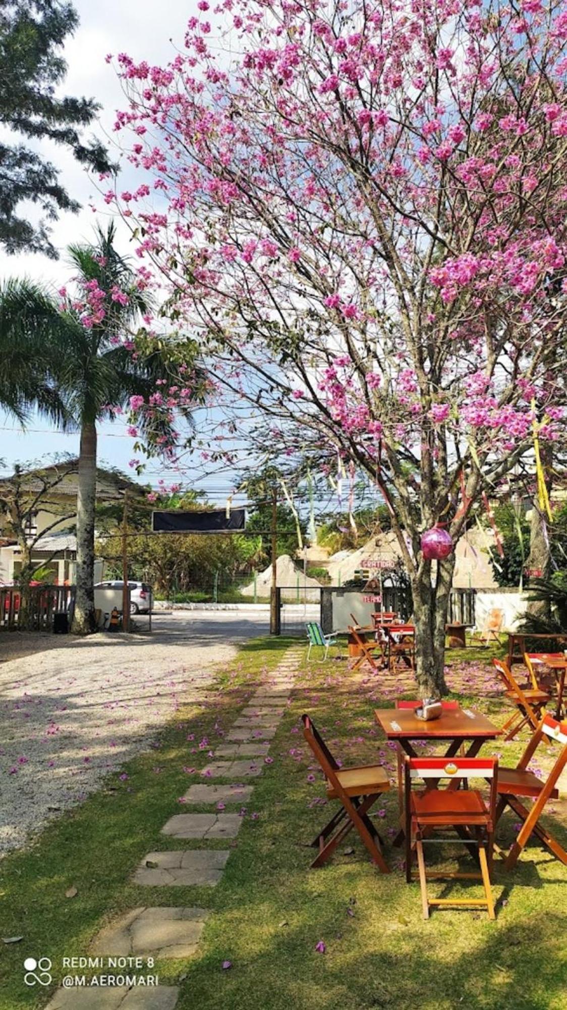 Nomades Vibe Da Ilha - Adventure Hostels & Coworking Florianópolis Εξωτερικό φωτογραφία